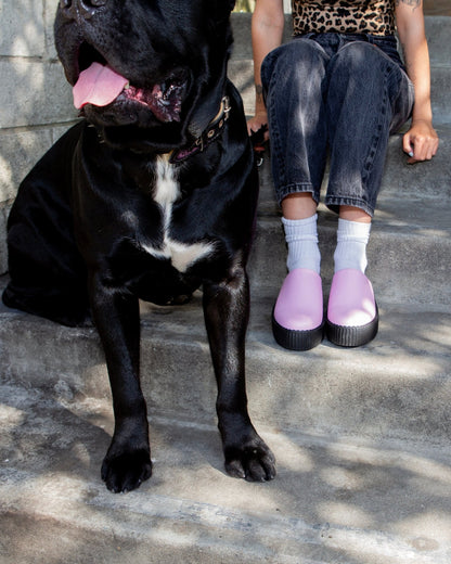 V3372L Pink Leather Viva Mondo Creeper Clog - T.U.K. Shoes