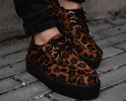 V3336 Leopard Viva Mondo Creeper - T.U.K. Shoes
